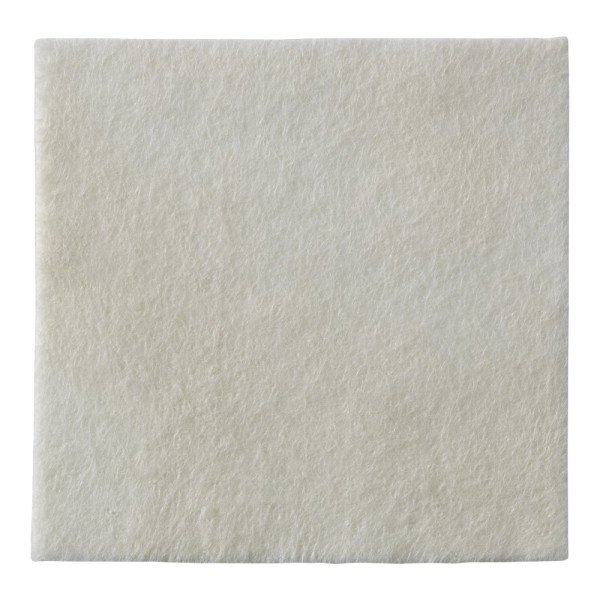 coloplast-biatain-alginate-ag-alginatkompresse-10x10cm-3760.jpg
